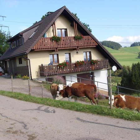 Apartamento Duerrenbartleshof Breitnau Exterior foto