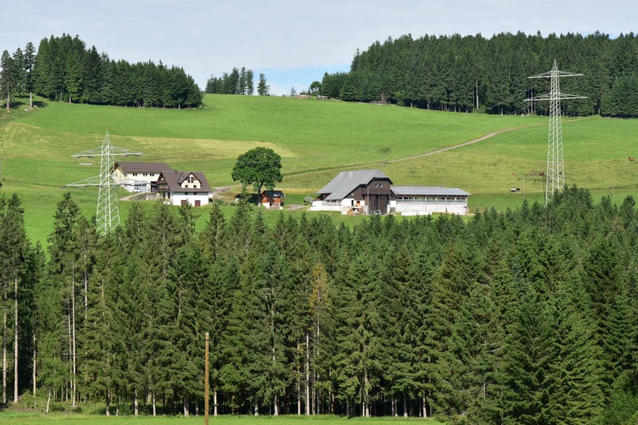 Apartamento Duerrenbartleshof Breitnau Exterior foto