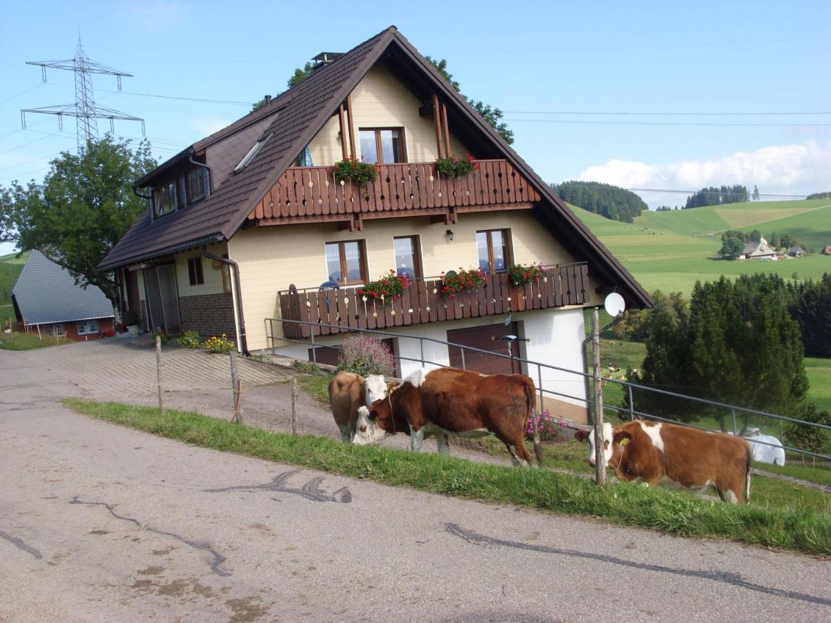 Apartamento Duerrenbartleshof Breitnau Exterior foto